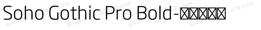 Soho Gothic Pro Bold字体转换